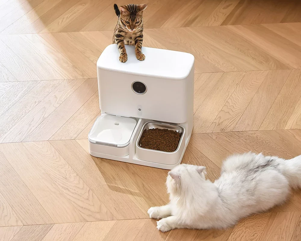 automatic pet food dispenser
